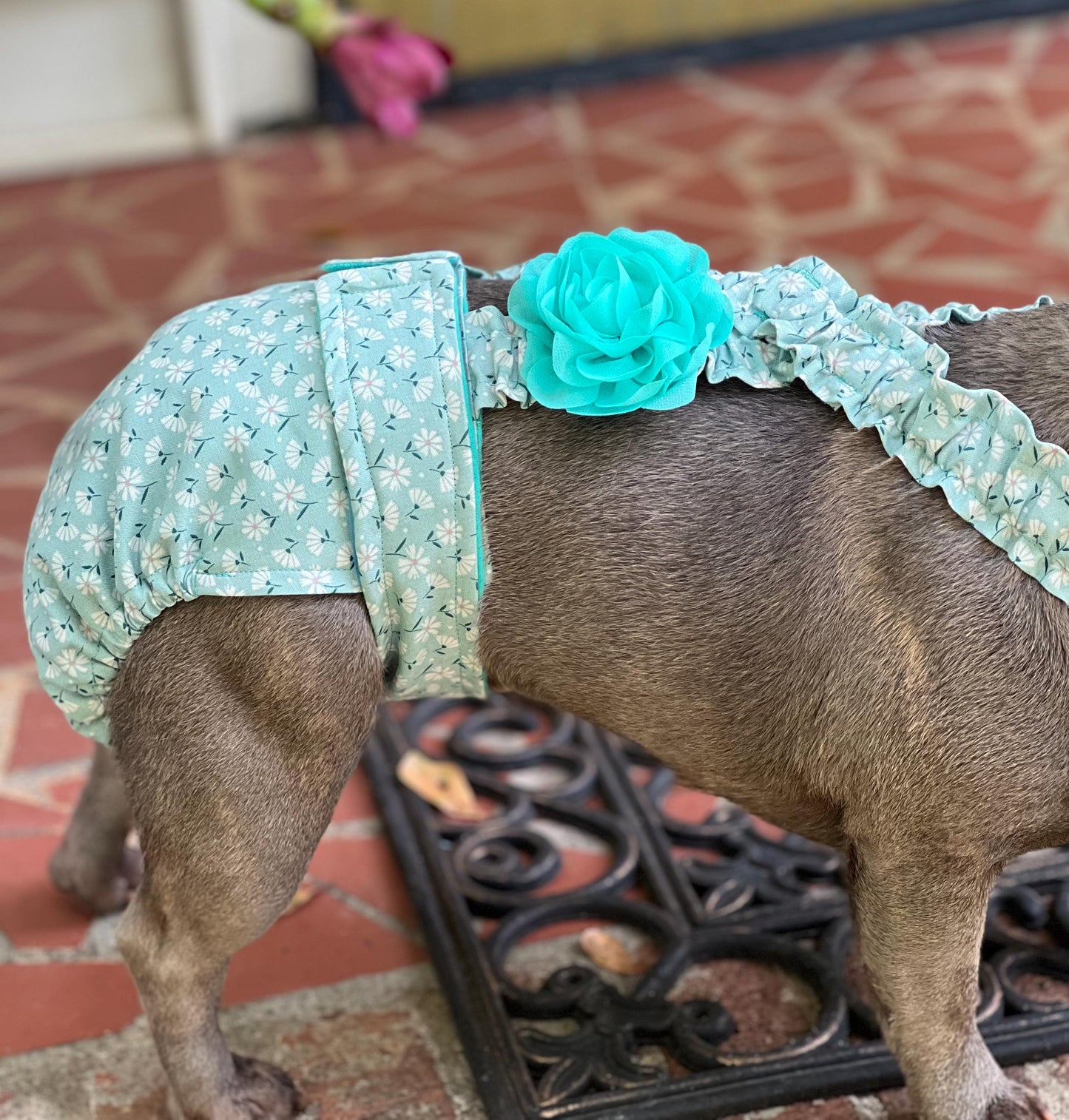 FRENCH BULLDOG or ENGLISH BULLDOG DIAPER: I'm Feelin' Daisy - Wephies