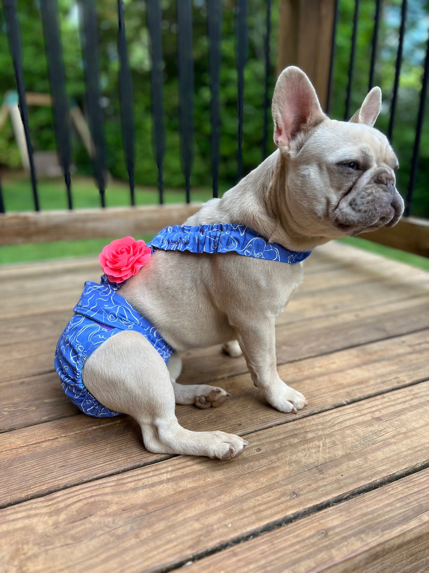 French Bulldog Diaper w Suspenders - Frenchie Serene - Wephies