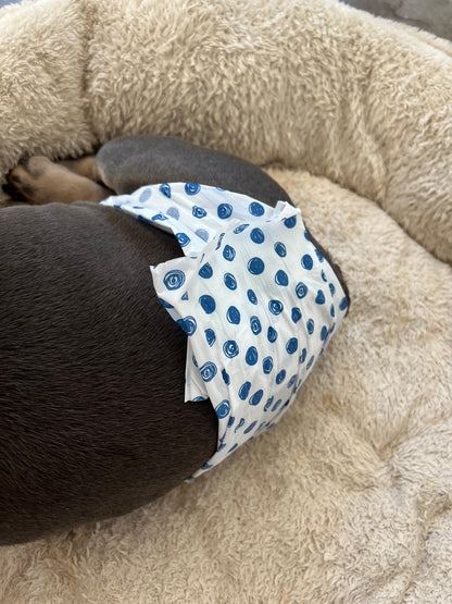French Bulldog English Bulldog Male Belly Band Diaper w Suspenders - Plaid Blue Gray