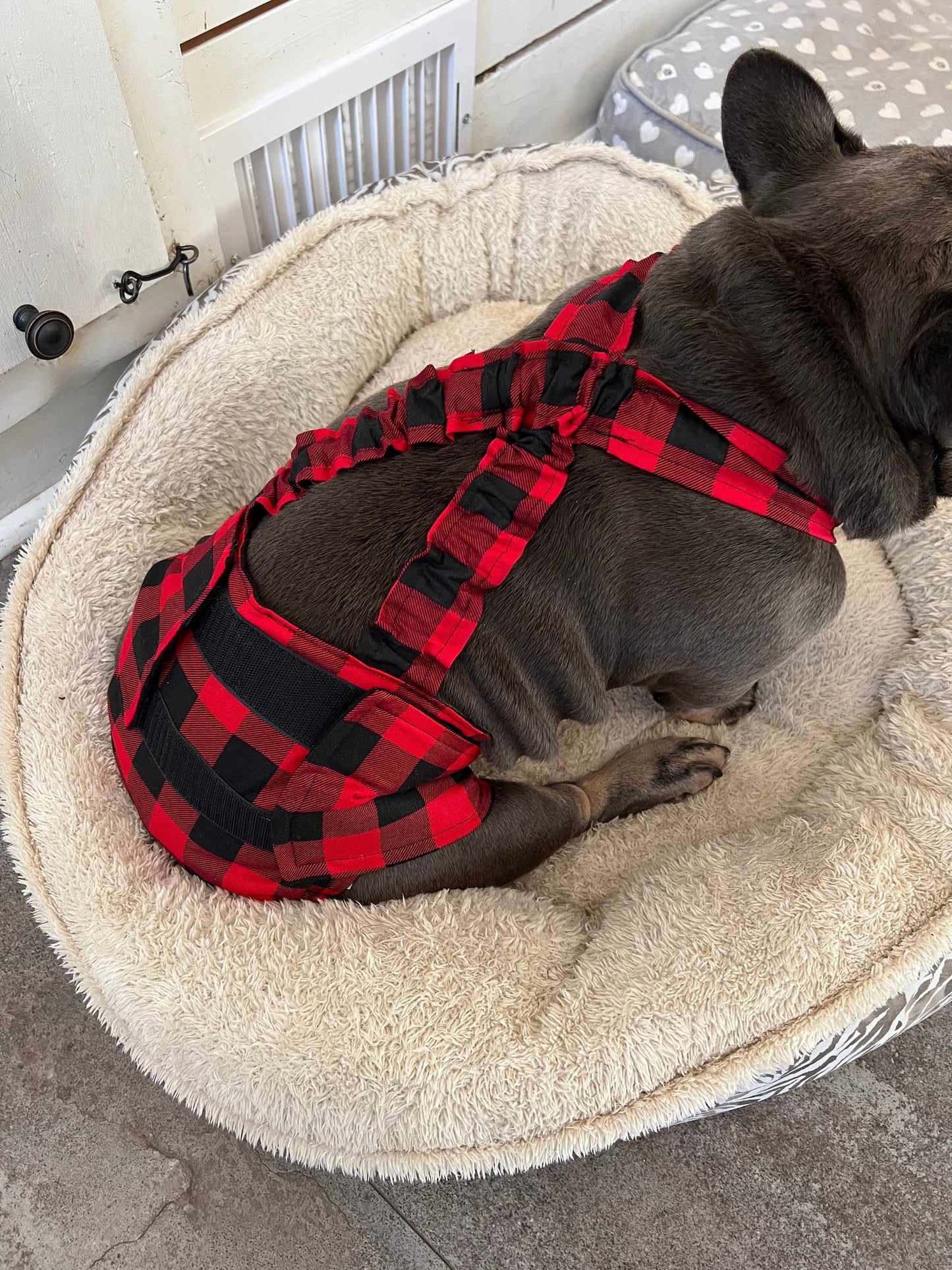 French Bulldog English Bulldog Male Belly Band Diaper w Suspenders - Buffalo Plaid with black bow tie