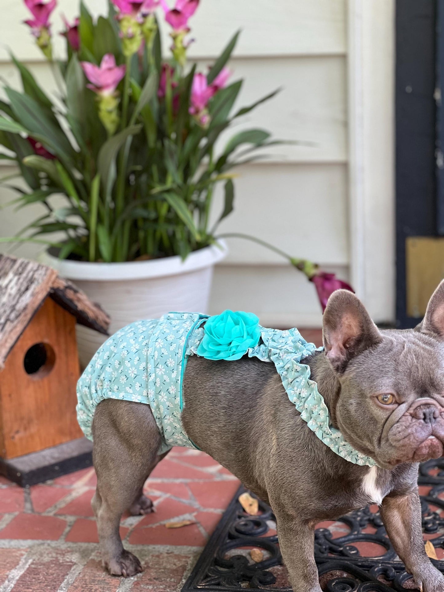 FRENCH BULLDOG or ENGLISH BULLDOG DIAPER: I'm Feelin' Daisy - Wephies