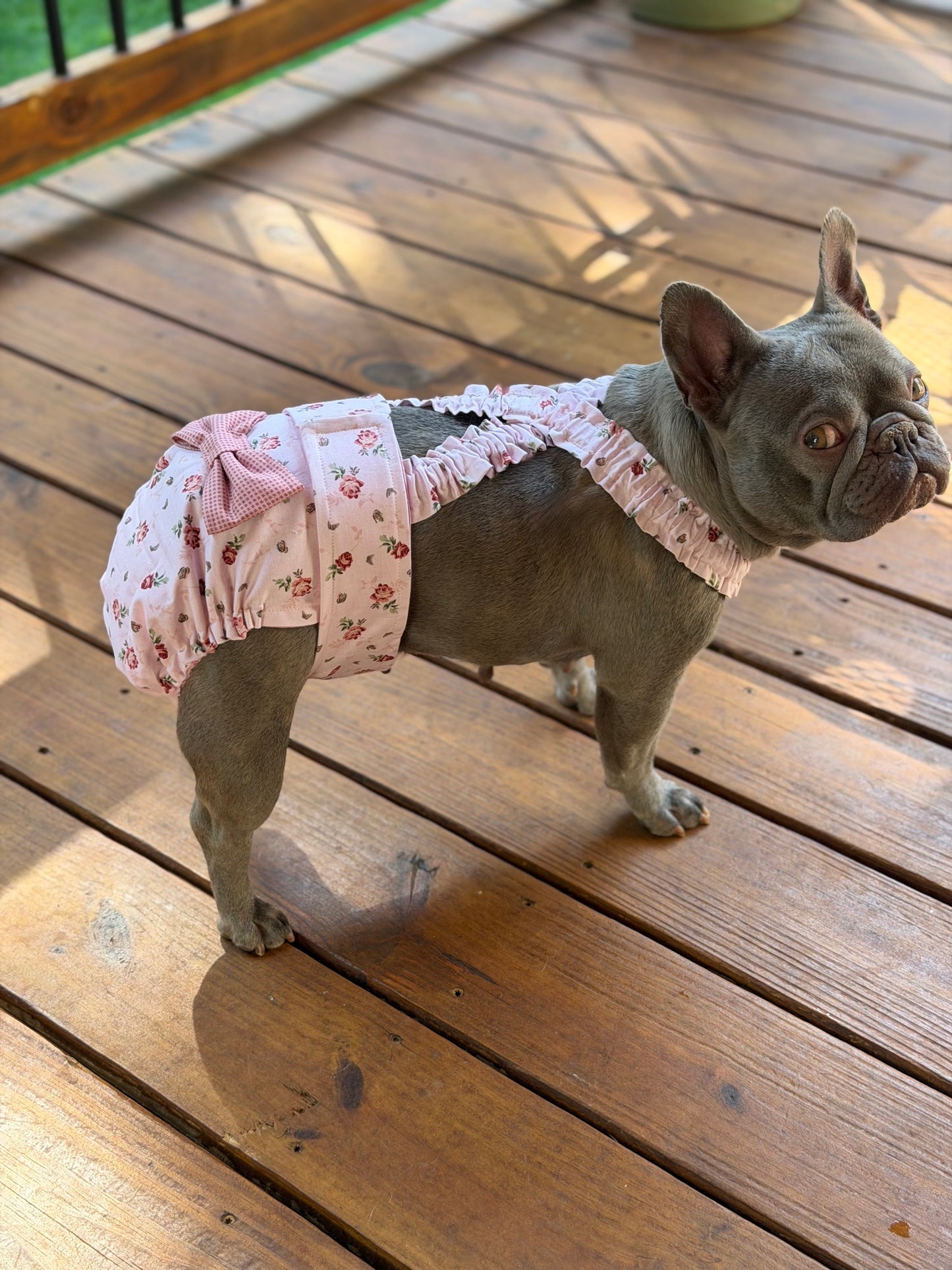 Avonlea Blossoms French Bulldog Diaper Set with Suspenders - No tail hole  - Wephies