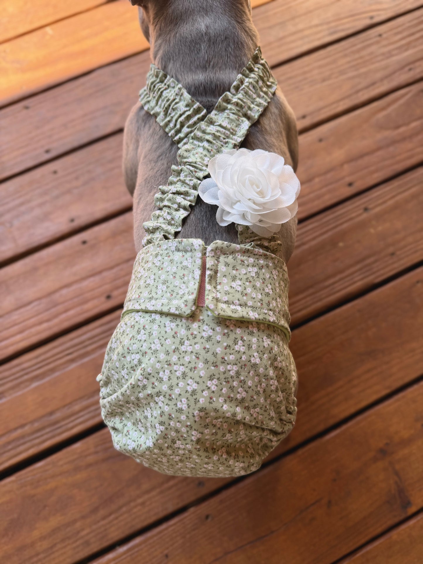 Avonlea Blossoms French Bulldog Diaper Set with Suspenders - No tail hole  - Wephies