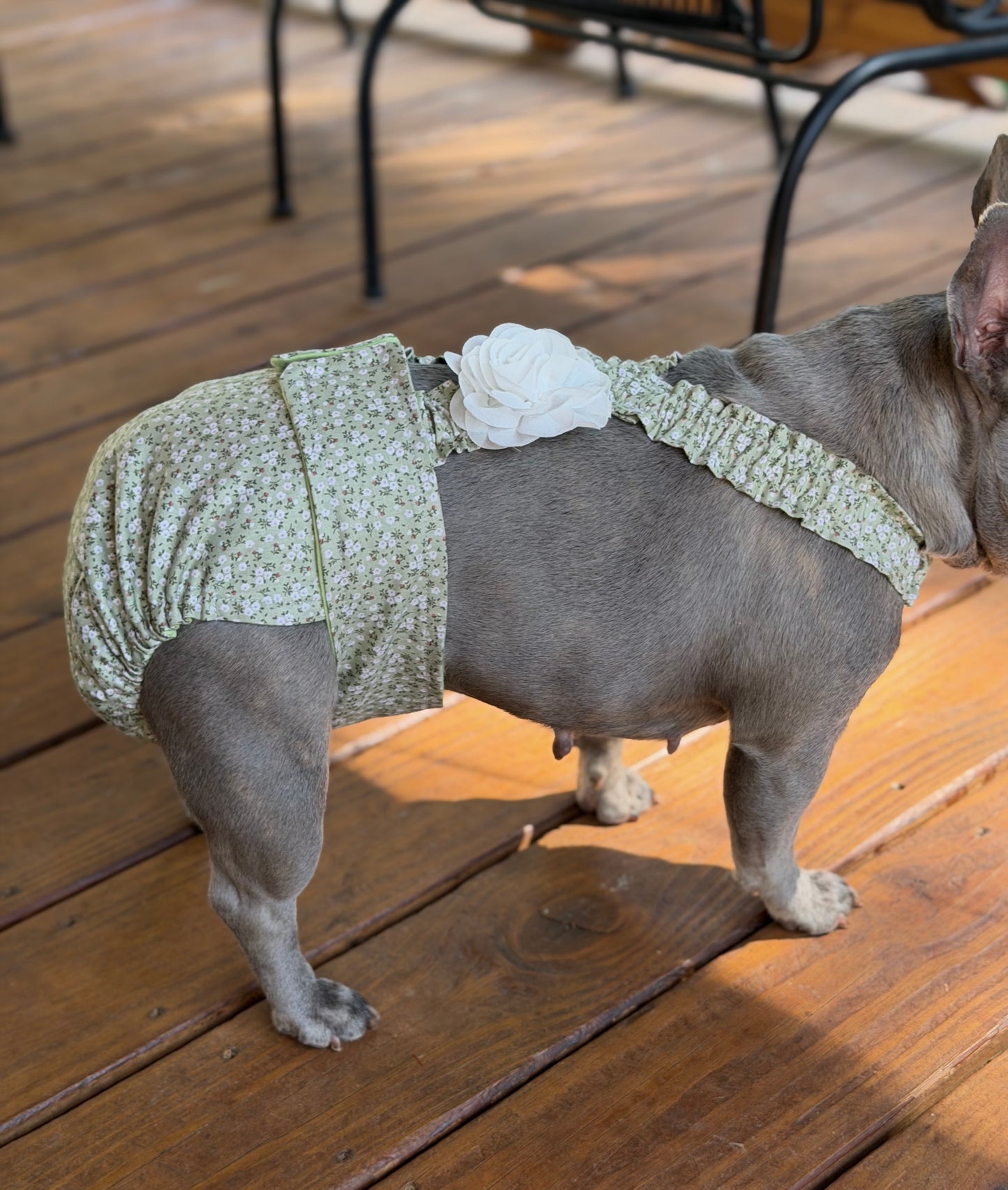Avonlea Blossoms French Bulldog Diaper Set with Suspenders - No tail hole  - Wephies