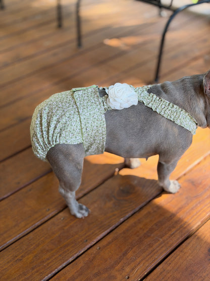 Avonlea Blossoms French Bulldog Diaper Set with Suspenders - No tail hole  - Wephies
