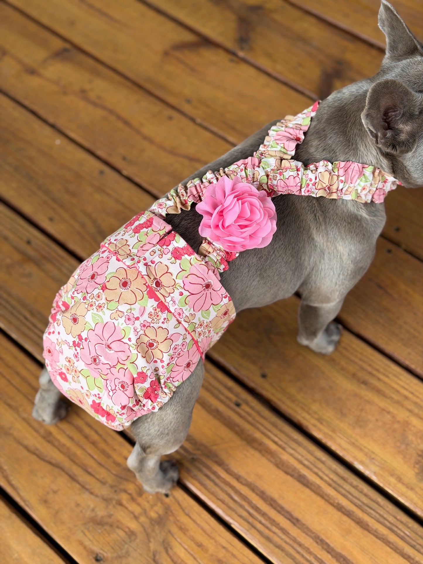 Dog wearing a floral onesie with a pink flower 