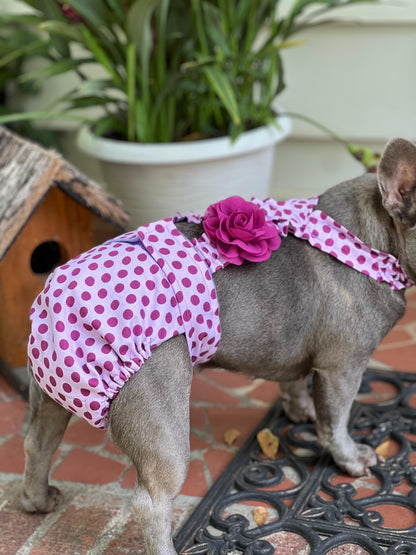 French Bulldog wearing purple polka dot diaper