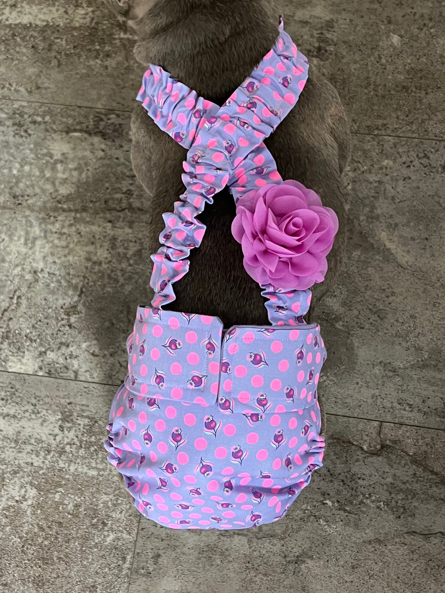 PAÑAL PARA BULLDOG FRANCÉS HEMBRA SIN AGUJERO PARA LA Cola Tula Impending Bloom con tirantes, pantalones de calor para perra, para mamá perra