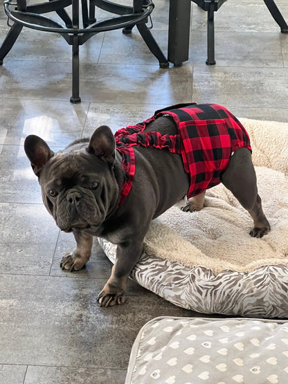 French Bulldog English Bulldog Male Belly Band Diaper w Suspenders - Buffalo Plaid with black bow tie