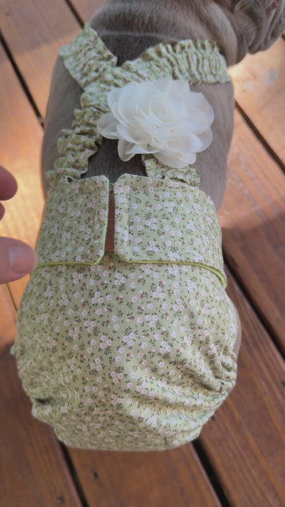 Avonlea Blossoms French Bulldog Diaper Set with Suspenders - No tail hole  - Wephies