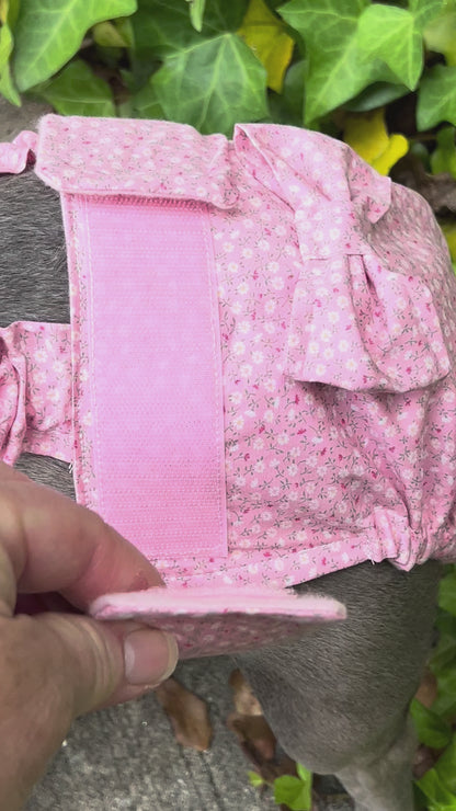 French Bulldog Heat Diaper with Suspenders – Washable Female Dog Diaper – Pink Sevenberry Floral