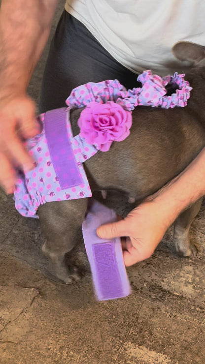 PAÑAL PARA BULLDOG FRANCÉS HEMBRA SIN AGUJERO PARA LA Cola Tula Impending Bloom con tirantes, pantalones de calor para perra, para mamá perra