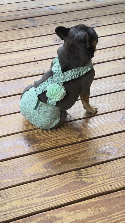 FRENCH BULLDOG or ENGLISH BULLDOG DIAPER: I'm Feelin' Daisy - Wephies